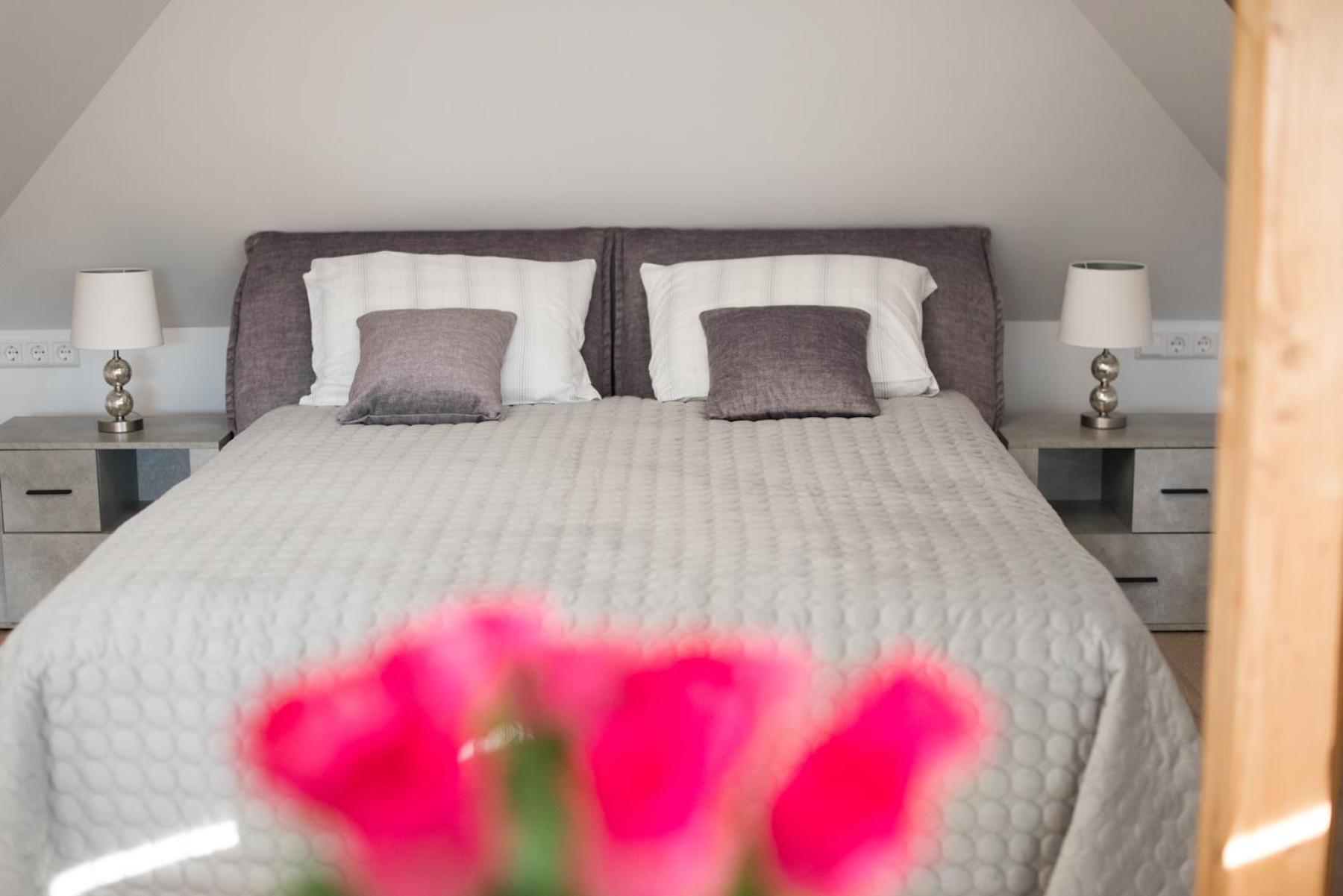 Petro Delux Apartments カウナス エクステリア 写真